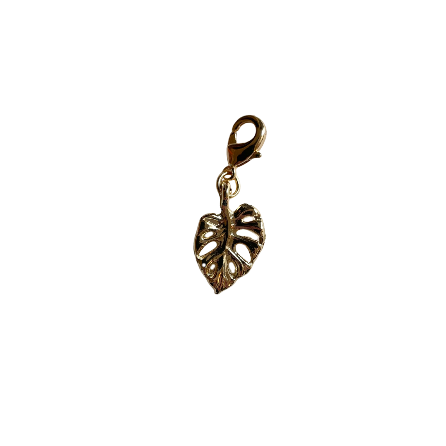 The Monstera Charm