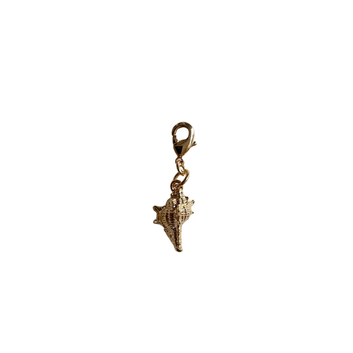 The Spikey Shell Charm