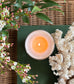 The Limoncello Soy Wax Candle