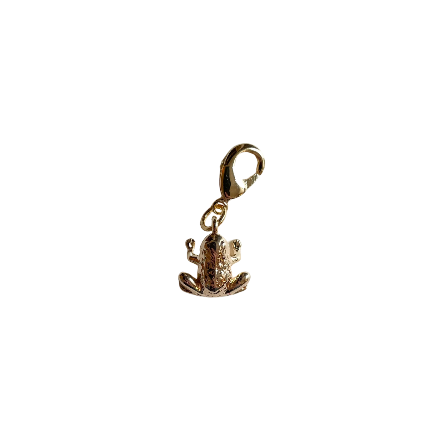 The Frog Charm