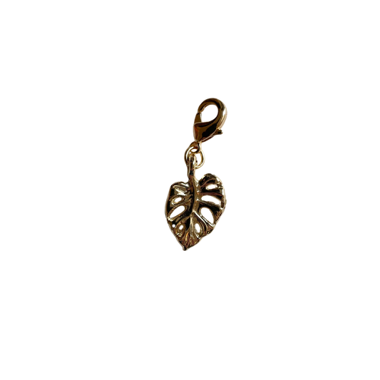 The Monstera Charm